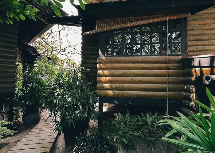 The Tree Cabins Quinta Pavo Real By Acomodo